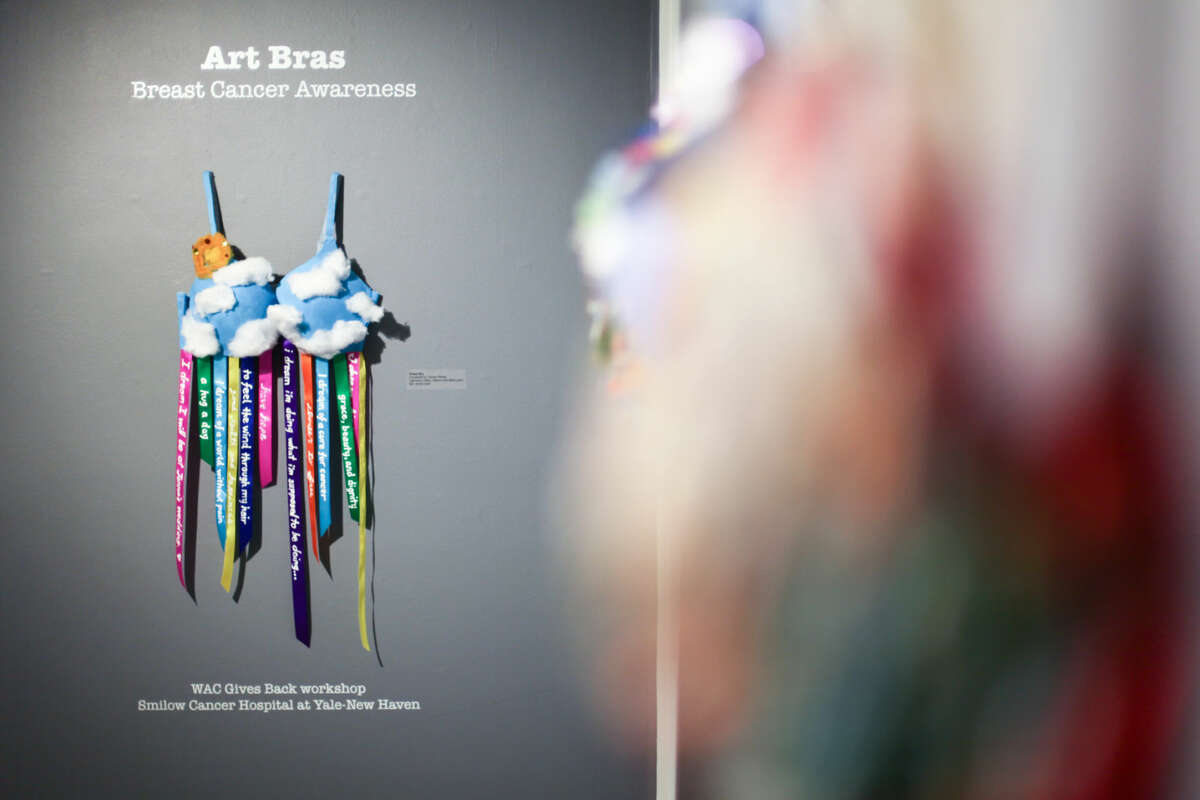 Hour photo/Chris Palermo. Art bras on display at the Westport Arts Center.