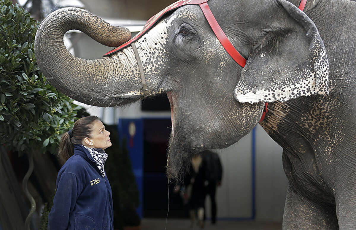 Princess Stephanie of Monaco poses with an elephant during the presentation of the 39th Monte-Carlo International Circus Festival in Monaco, Tuesday, Jan. 13, 2015. The Circus Festival takes place from Jan. 15 to Jan 25. (AP Photo/Lionel Cironneau)