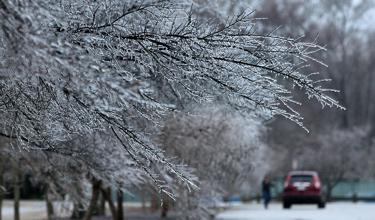 Ice coats tree limbs at Riverview Farm Park, Wednesday morning, Jan. 14, 2015, in Newport News, Va. State transportation officials are advising motorists to be careful on Virginia roads because of icy conditions. (AP Photo/The Daily Press, Adrin Snider)