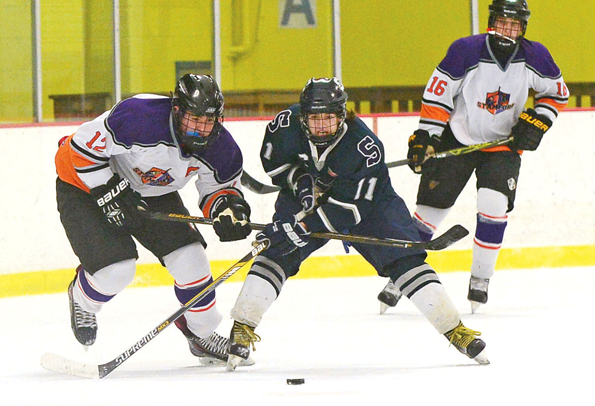 Staples/Weston vs Stamford Hockey