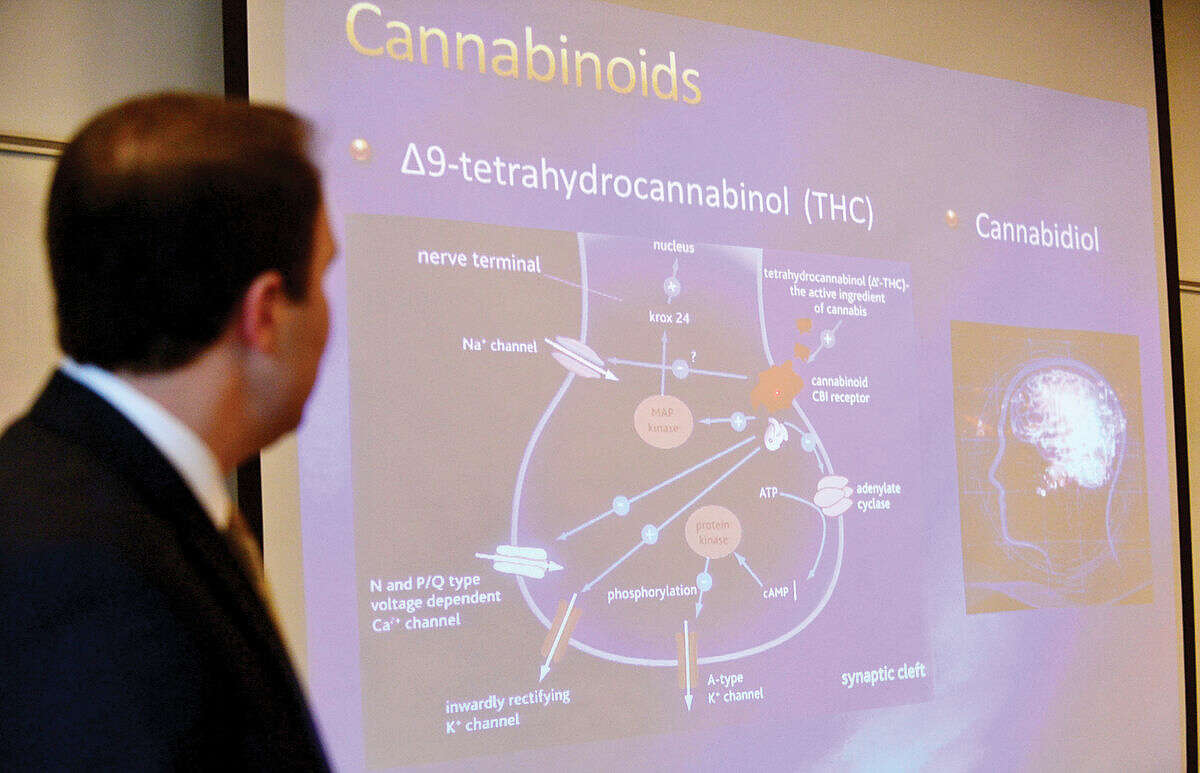 Hour photo / Erik Trautmann John Douglas, MD and Silver Hill Hospital Clinical Director of Outpatient Addiction Program, talks about marijuana use during the presentation, Not My Kid: What's Really Happening with Marijuana, Binge Drinking, and E-Cigarettes in Wilton, at the Wilton Library Tuesday morning.
