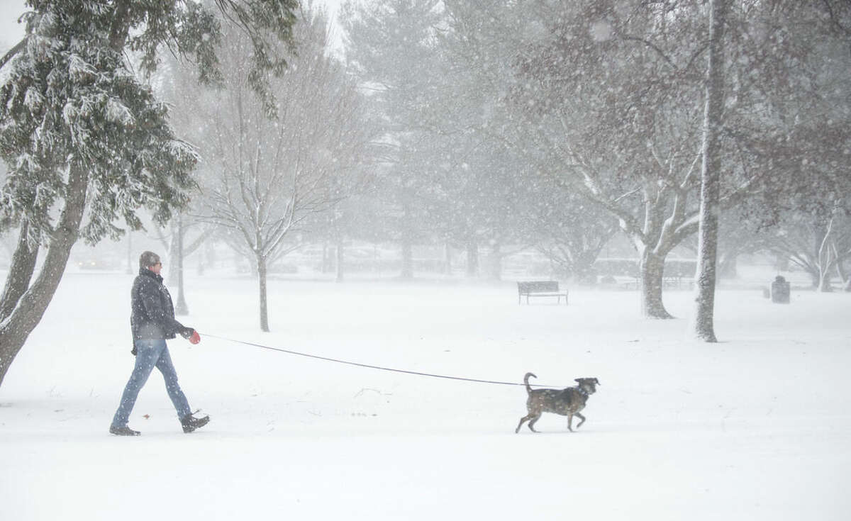 Glen Goodman walks his dog Charlie through Westside Park in the snow in Champaign, Ill., Wednesday, Feb. 24, 2016. A powerful storm moving through parts of the Midwest on Wednesday. (John Dixon/The News-Gazette via AP) MANDATORY CREDIT