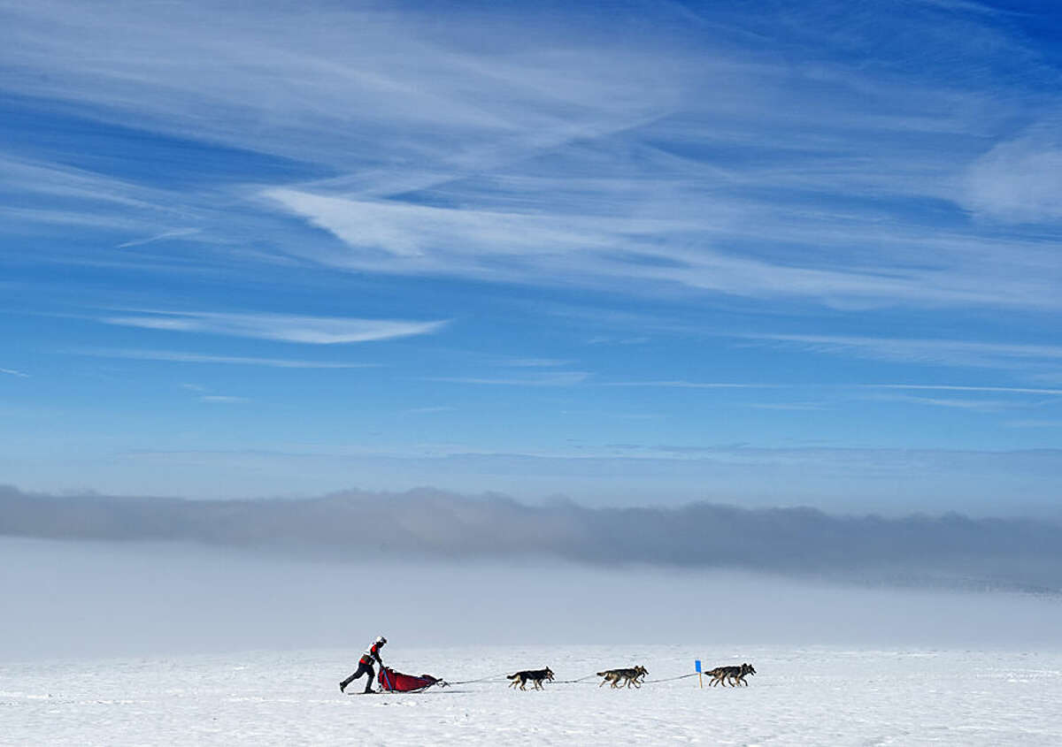 A musher competes with his dog-sled during the Trans-Thuringia race, one of the biggest dog-sled races with purebred dogs in central Europe, in the Thuringian Forest near Fehrenbach, central Germany, Saturday, Feb. 14, 2015. Around 500 sled dogs and their mushers covered a distance of nearly 280 kilometers in seven runs. (AP Photo/Jens Meyer)