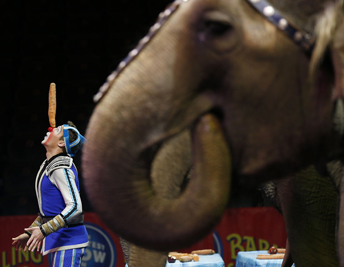 AP Day in Photos