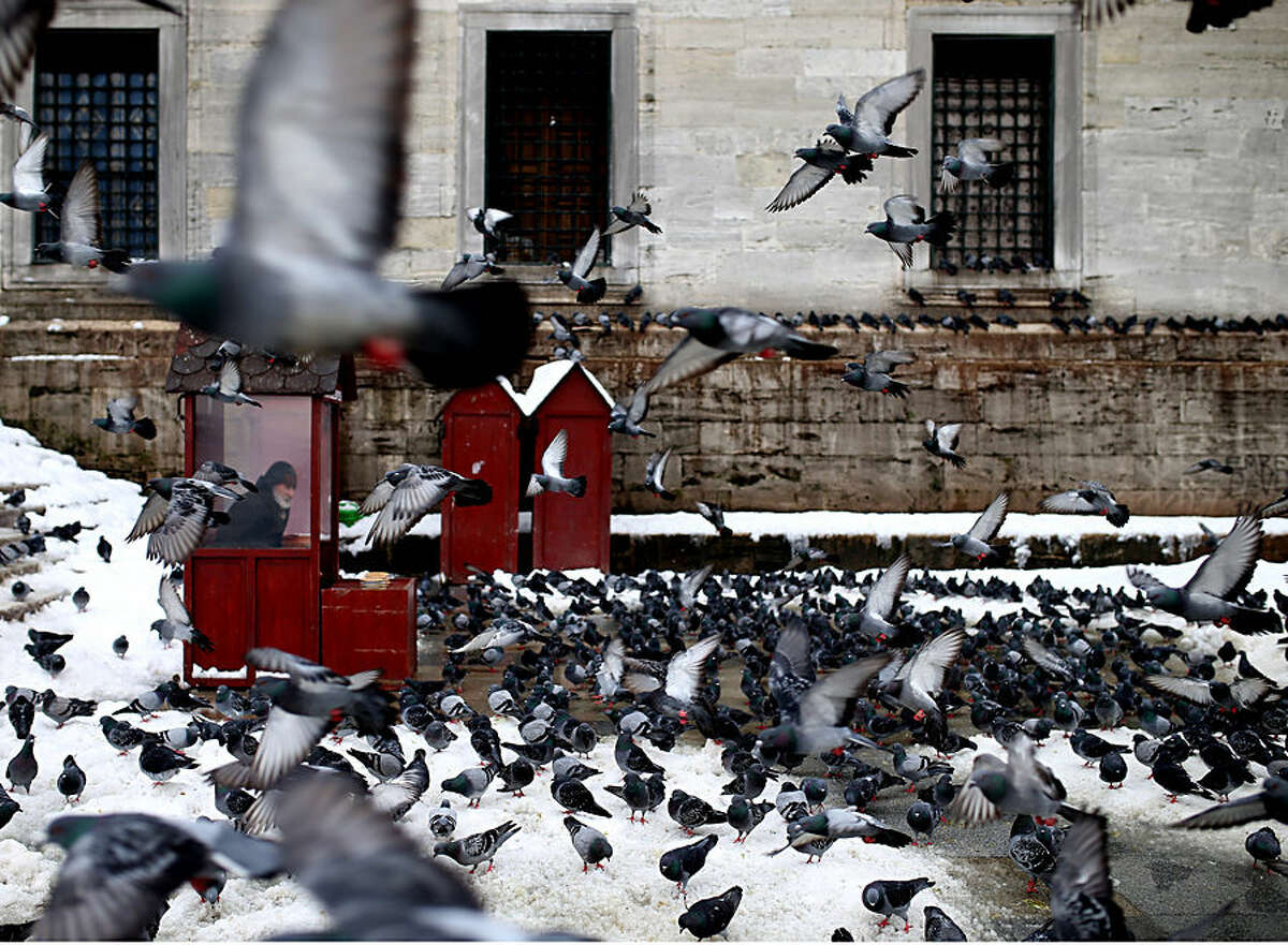 A man selling food for pigeons sits in a cubicle, near Yeni Cami, in Istanbul, Turkey, Thursday, Feb. 19, 2015. Turkey's largest city, Istanbul, has been hit by a storm that has dumped up to a 60 centimetres (24 inches) of snow in some areas since Tuesday, wreaking havoc on roads. (AP Photo/Emrah Gurel)