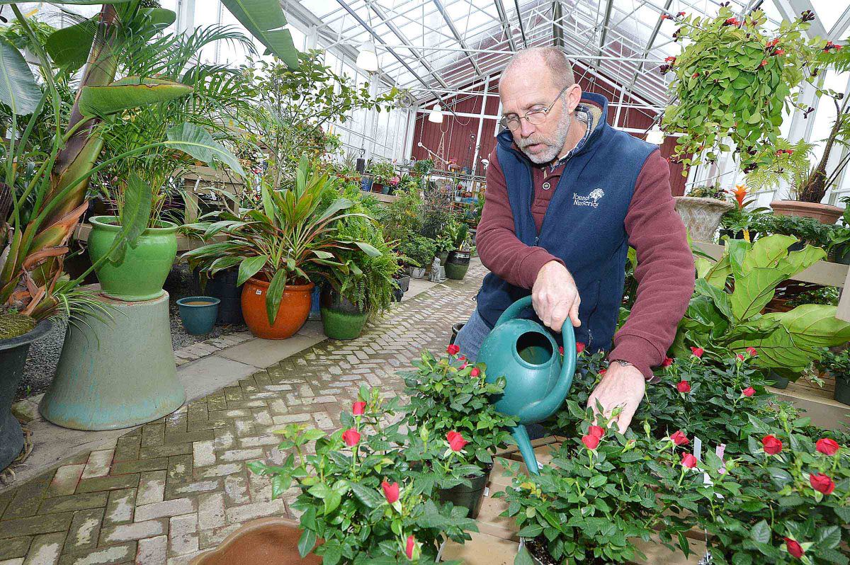 Young S Nurseries A Wilton Institution To Close After 86 Years