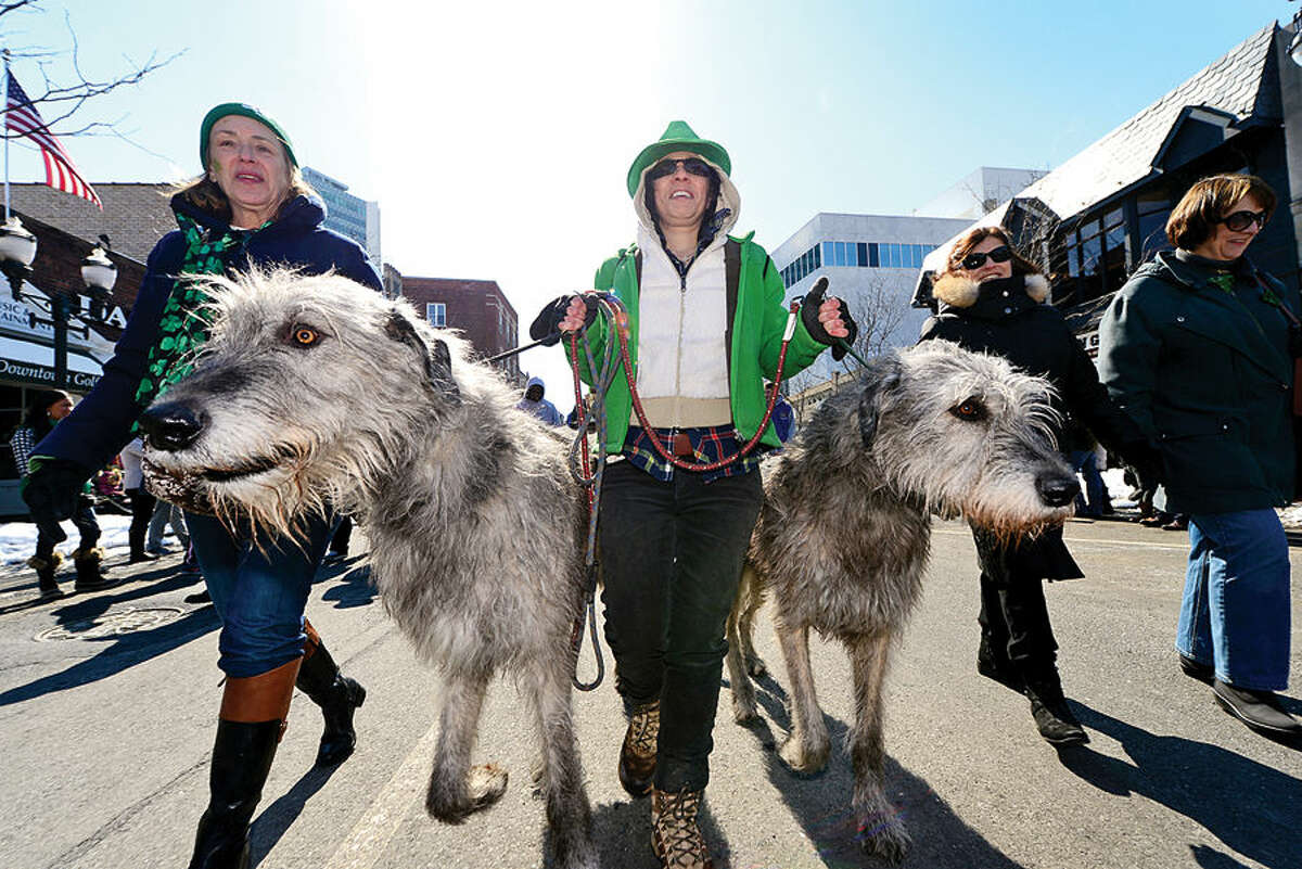 Hour photo / Erik Trautmann The City of Stamford St Patrick's Day Parade participants and local residents including Debbie Tirado and her two Irish Wolf Hounds, Emerson and Lucky, enjoy the sunny Saturday afternoon as the procession proceeds down Bedford St.