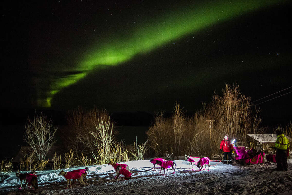 DeeDee Jonrowe arrives at the Ruby, Alaska checkpoint under the Northern Lights during the Iditarod Trail Sled Dog Race on Wednesday, March 11, 2015. (AP Photo/Alaska Dispatch News, Loren Holmes)