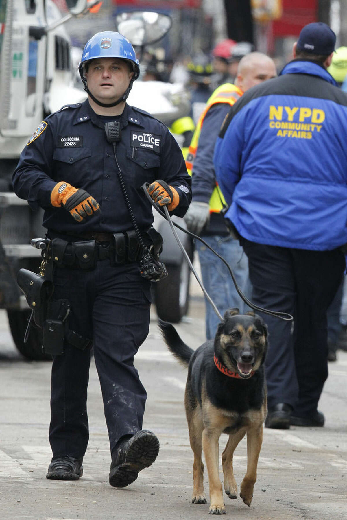 A search dog walks around the site of a building collapse in the East Village neighborhood of New York, Friday, March 27, 2015. Nineteen people were injured, four critically, after the powerful blast and fire sent flames soaring and debris flying Thursday afternoon. Preliminary evidence suggested that a gas explosion amid plumbing and gas work inside the building was to blame. (AP Photo/Julio Cortez)