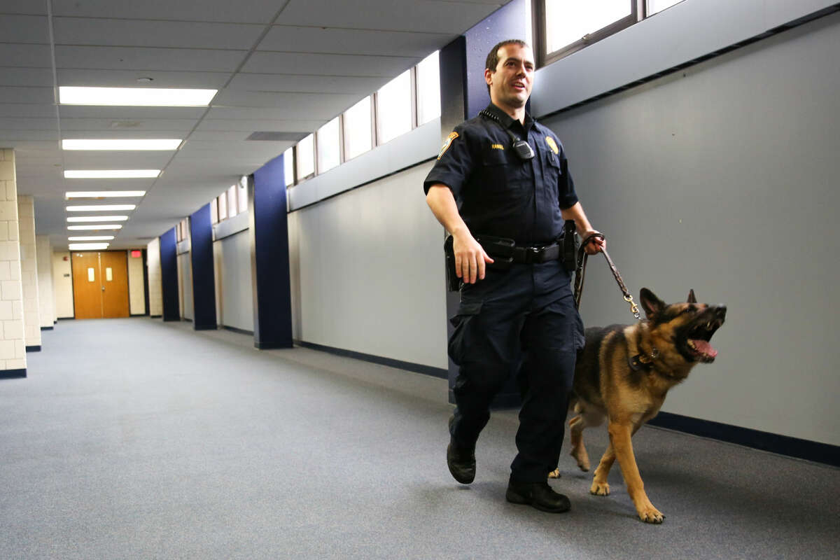 Officer Steven Rangel walks K-9 Unit Enzo through the halls of Wilton High School during an illegal drug search.