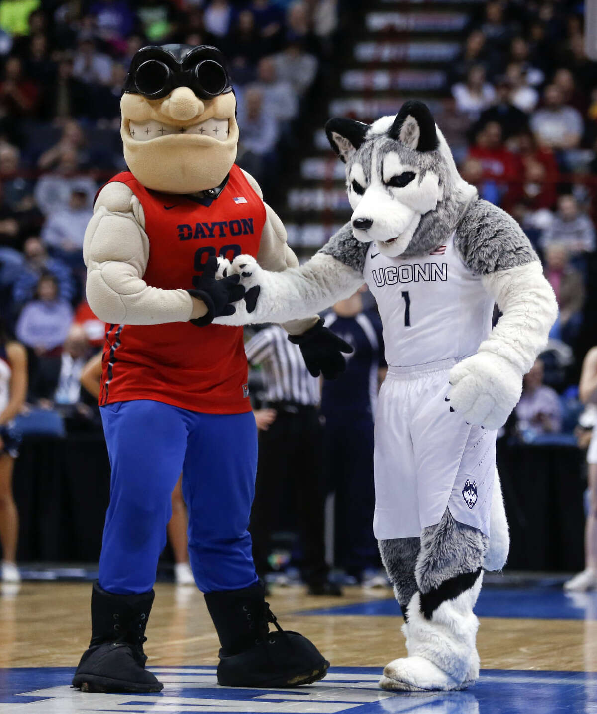 The Dayton and Connecticut mascots perform during the first half of a regional final game in the NCAA women's college basketball tournament on Monday, March 30, 2015, in Albany, N.Y. (AP Photo/Mike Groll)