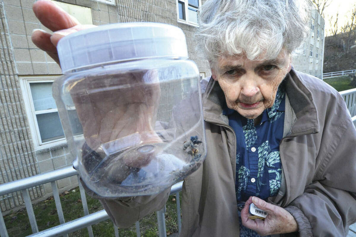 Hour Photo/Alex von Kleydorff June Talarico holds a jar with bedbugs she collected from inside her senior housing apartment