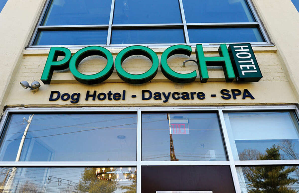 Hour photo / Erik Trautmann The new Pooch Dog Hotel, Daycare and SPA will have their grand opening Saturday April 5th.