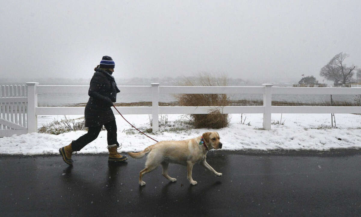 Hour Photo/Alex von Kleydorff Time for a walk in the snow with the dog along Marvin Beach on Monday morning