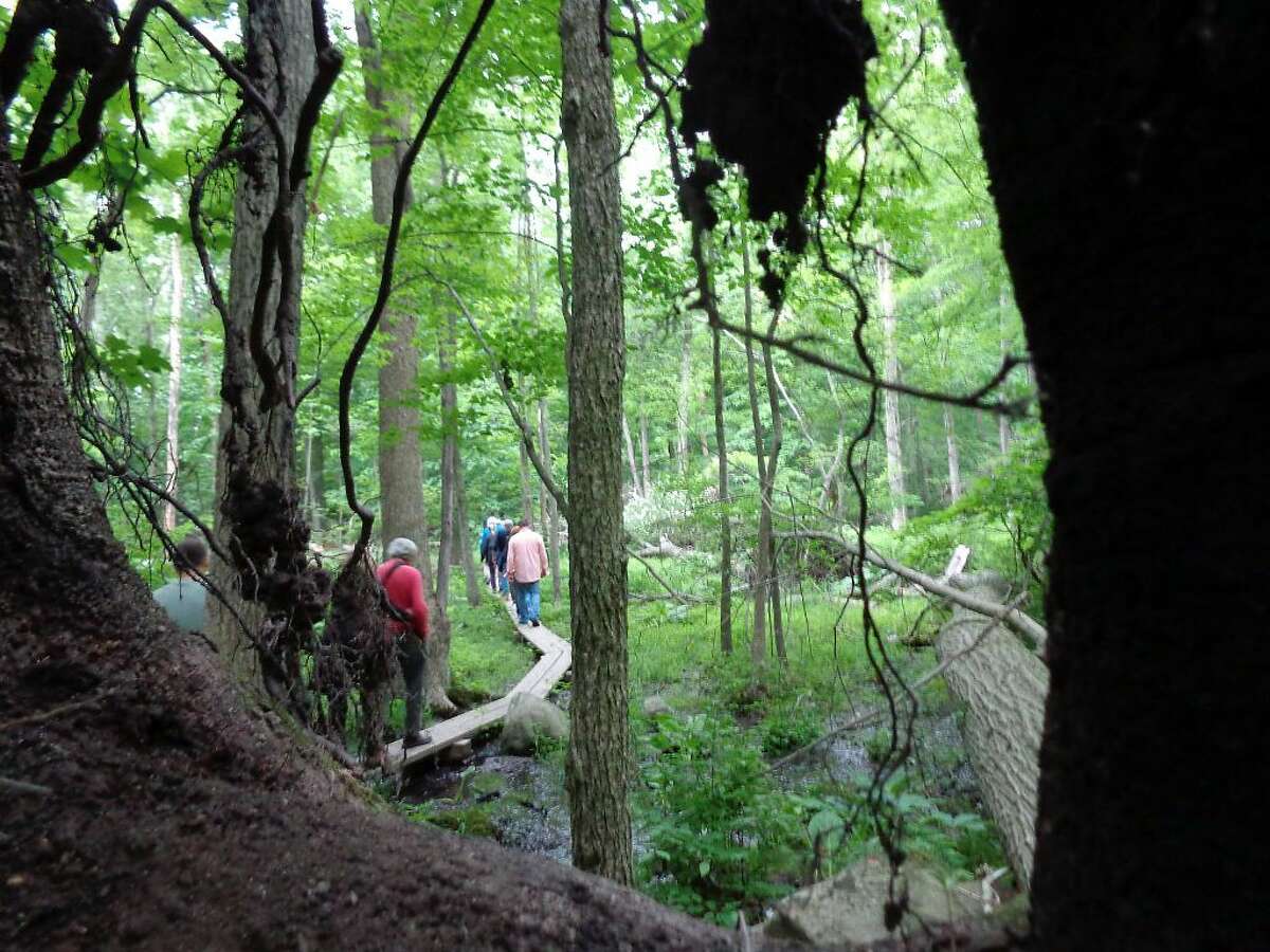 Check out some of Connecticut's best hiking trails this weekend. Here's our list of top spots to check out. Find out more: http://bit.ly/1VLwmwW (Photo: Meg Barone)