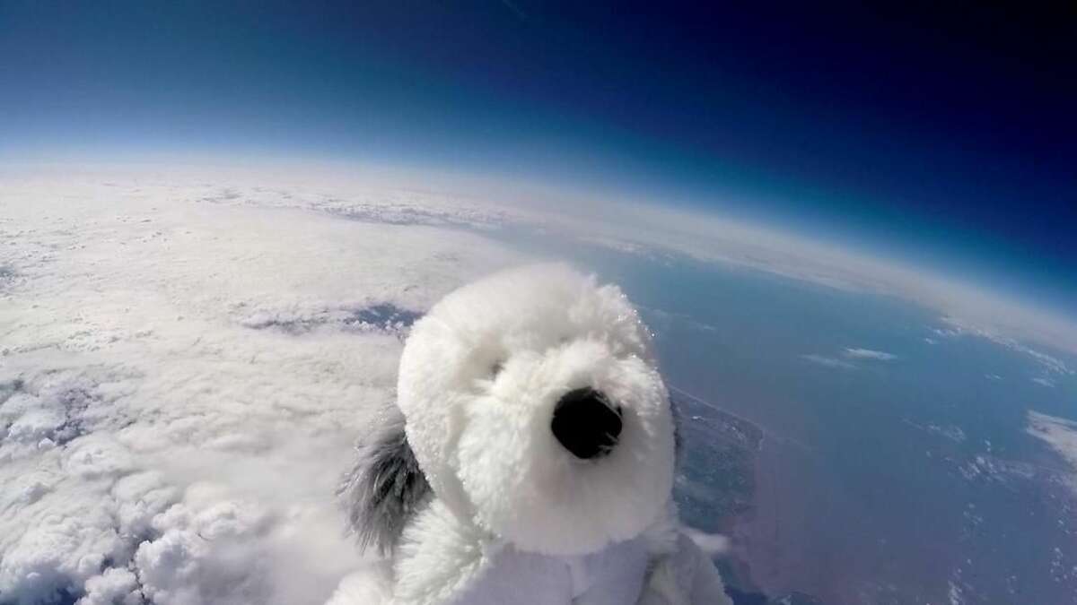 Sam the cuddly toy dog flies high in the sky after taking off from Morecambe, England Tuesday April 5, 2016 attached to a special camera and a helium balloon. Sending the toy dog into the sky was part of a science project by Morecambe Bay Community Primary School which joined forces with a local hotel . The toy dog reached an altitude of 12 miles above the earth's surface. (Morecambe Bay Community Primary School and English Lakes Hotels Resorts & Venues via AP) TV OUT