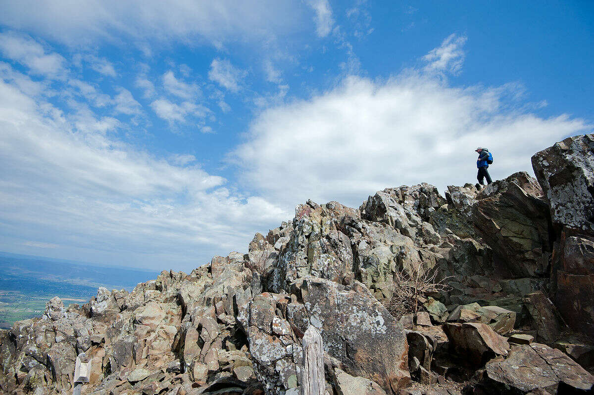 United States Sen. Tim Kaine, D-Va., looks out from the summit of Stony Man while hiking at Shenandoah National Park in Virginia, Monday morning, April 11, 2016. Kaine visited the park to help commemorate its 100th anniversary. (Nikki Fox/Daily News-Record via AP) MANDATORY CREDIT