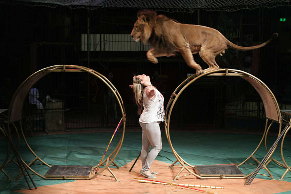female circus lion tamer