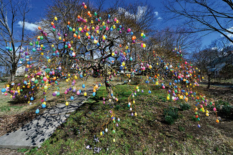 Easter Egg Tree The Hour