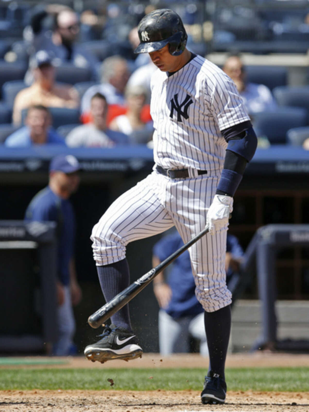 New York Yankees designated hitter Alex Rodriguez taps his bat on his shoe after striking out in the fourth inning of a baseball game at Yankee Stadium in New York, Wednesday, April 29, 2015. (AP Photo/Kathy Willens)