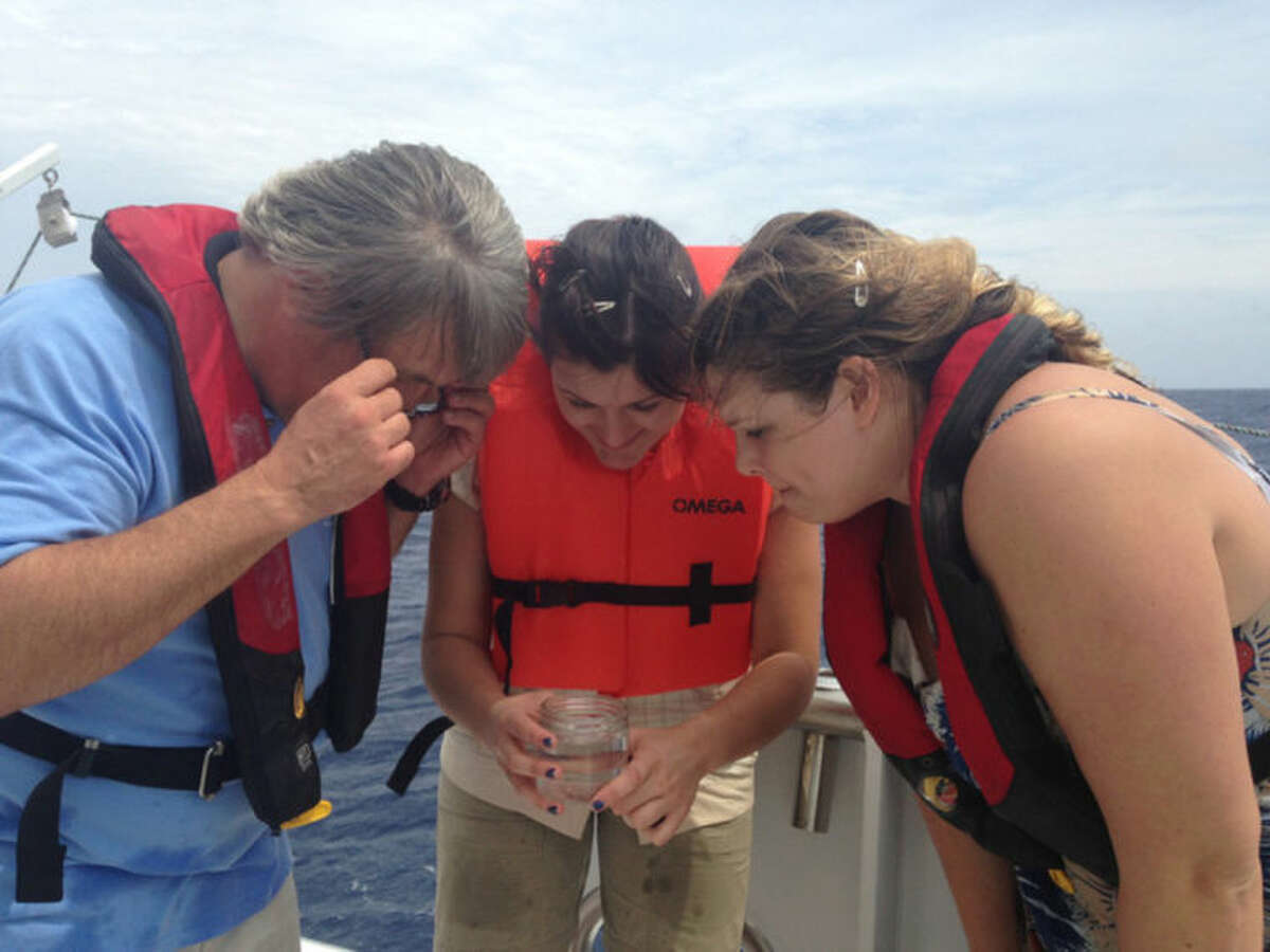 AP file photo / Lauran Neergaard In this March 29 file photo, University of Florida neurobiologist Leonid Moroz and graduate students Emily Dabe, center, and Gabrielle Winters examine an invertebrate species they caught by net in the Gulf Stream off the coast of Florida. Moroz is on a quest to decode the genomic blueprints of fragile marine creatures in real time on board the ship where they were caught.