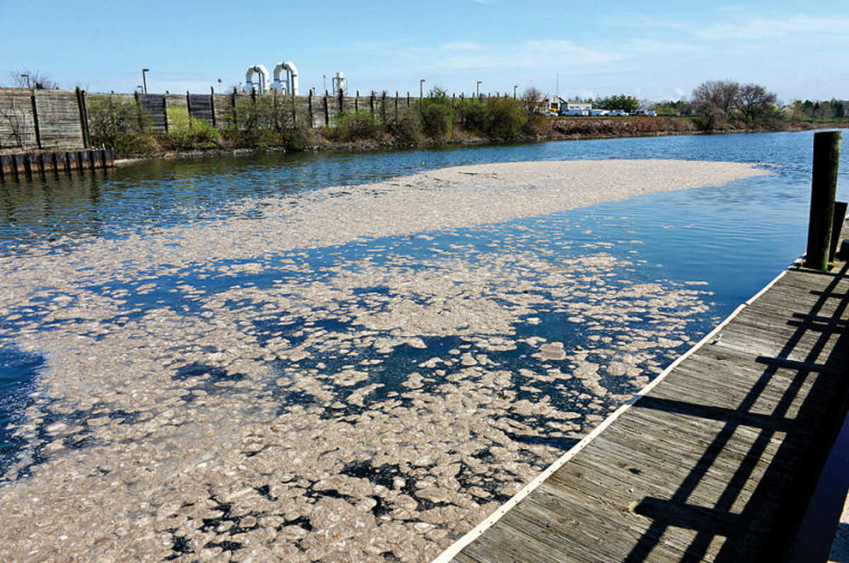Hour photo / Erik Trautmann The Stamford Water Pollution Control Authority released 25 million gallons of unbtreated sewage into the East Harbor following the rain storm Thursday.