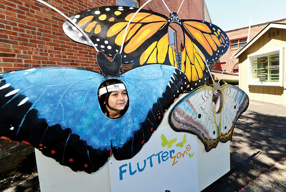 Hour photo / Erik Trautmann Visitors at the Maritime Aquarium Saturday including 6 year old Sienna Syed enjoy the abundance of butterflies on the opening day of the aquarium's new exhibit, Flutter Zone.
