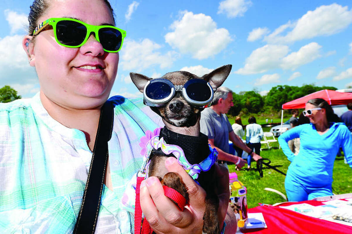 Hour photo / Erik Trautmann Alex Luis' teacup chihuahua Cookie won the Cutest Dog first prize during The Hour Parade of Pets Pet Expo Saturday at Taylor Farm Park.