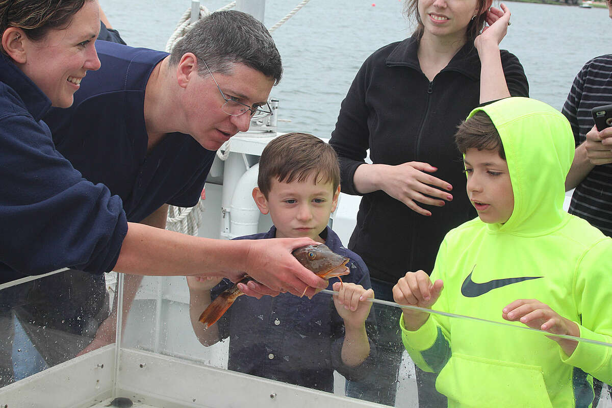 Hour photo/Chris Bosak Maritime Aquarium at Norwalk educator Nicole Rosenfeld shows off a sea robin that was caught in a net from from Long Island Sound during a cruise aboard the Aquarium's new research vessel RV Spirit of the Sound on Saturday afternoon.