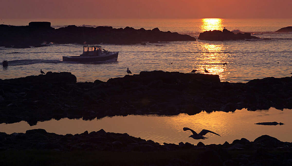 A lobsterman motors through a channel between islands as he leaves Cape Porpoise Harbor at sunrise Monday, Aug. 17, 2015, in Kennebunkport, Maine. (AP Photo/Robert F. Bukaty)