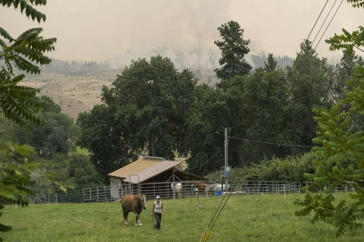 Alyssa Jumors leads her horse back to her property after storing it with a neighbor, on July 20, 2014 in Carlton, Washington. Her neighbor had greener pastures, which would be safer for the horse if the wildfire got any closer to their land. The Carlton Complex fires have swept the region covering over 215,000 acres of land and destroying over 100 structures. (AP Photo/The Seattle Times, Maddie Meyer) SEATTLE OUT; USA TODAY OUT; MAGS OUT; TELEVISION OUT; NO SALES; MANDATORY CREDIT TO BOTH THE SEATTLE TIMES AND THE PHOTOGRAPHER