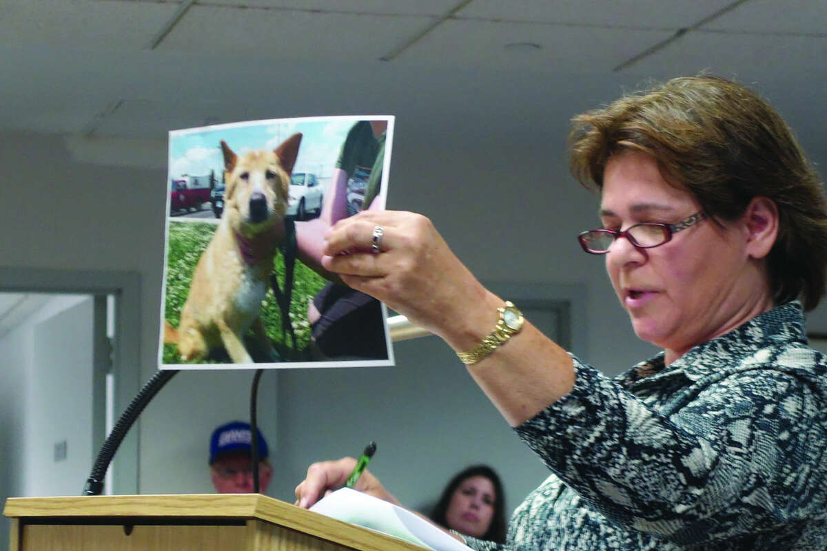 Jenny Colucci holds up a photo of a dog saved thanks to no kill shelters at the public forum Tuesday.