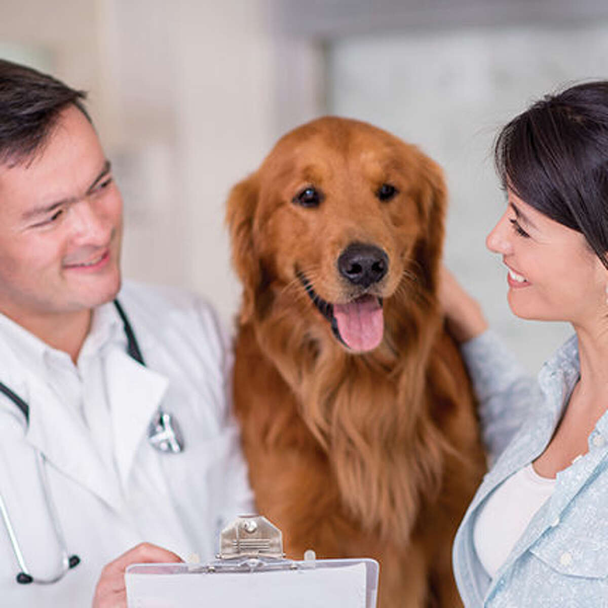 Manage Diabetic Pets at Home