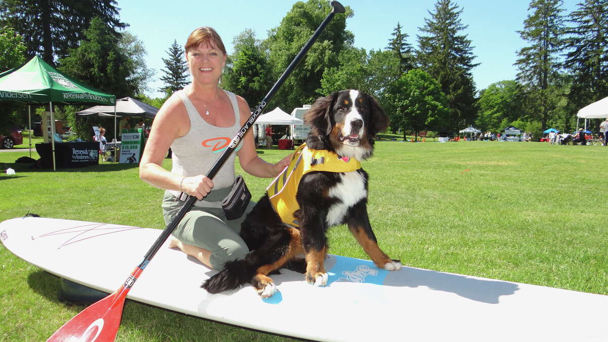 Westport Weston Dog Festival a tailwagging good time