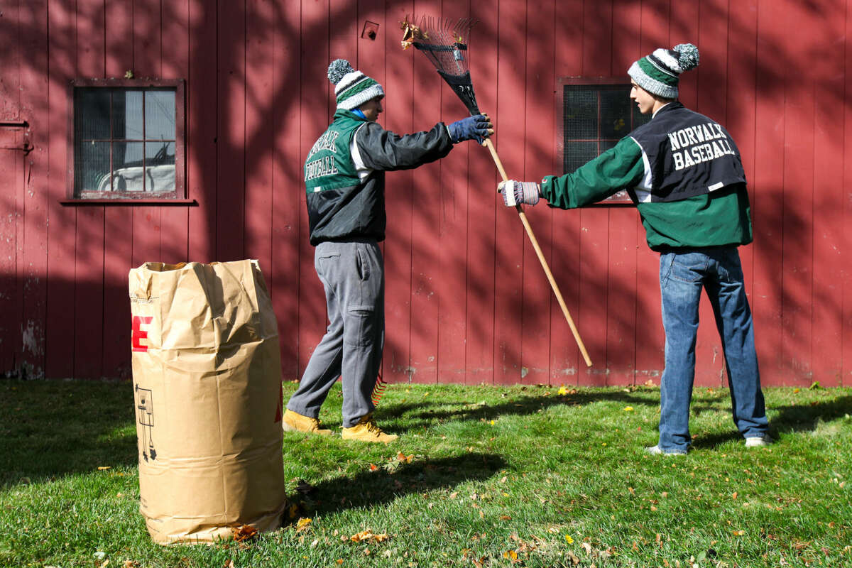 Yard Waste Pick Up Schedule In Norwalk