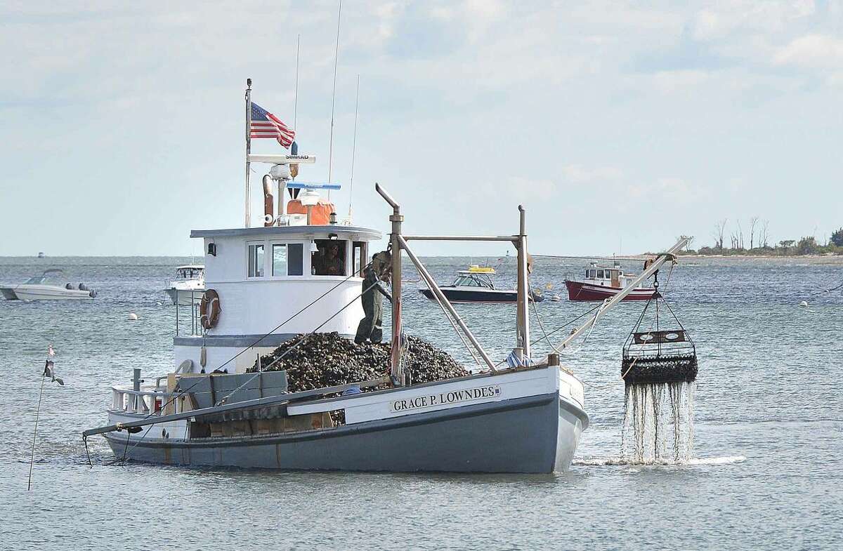 How To Remove Oysters From Boat at Glenn Porter blog