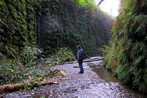 Top 10 campsites in Humboldt County - Photo