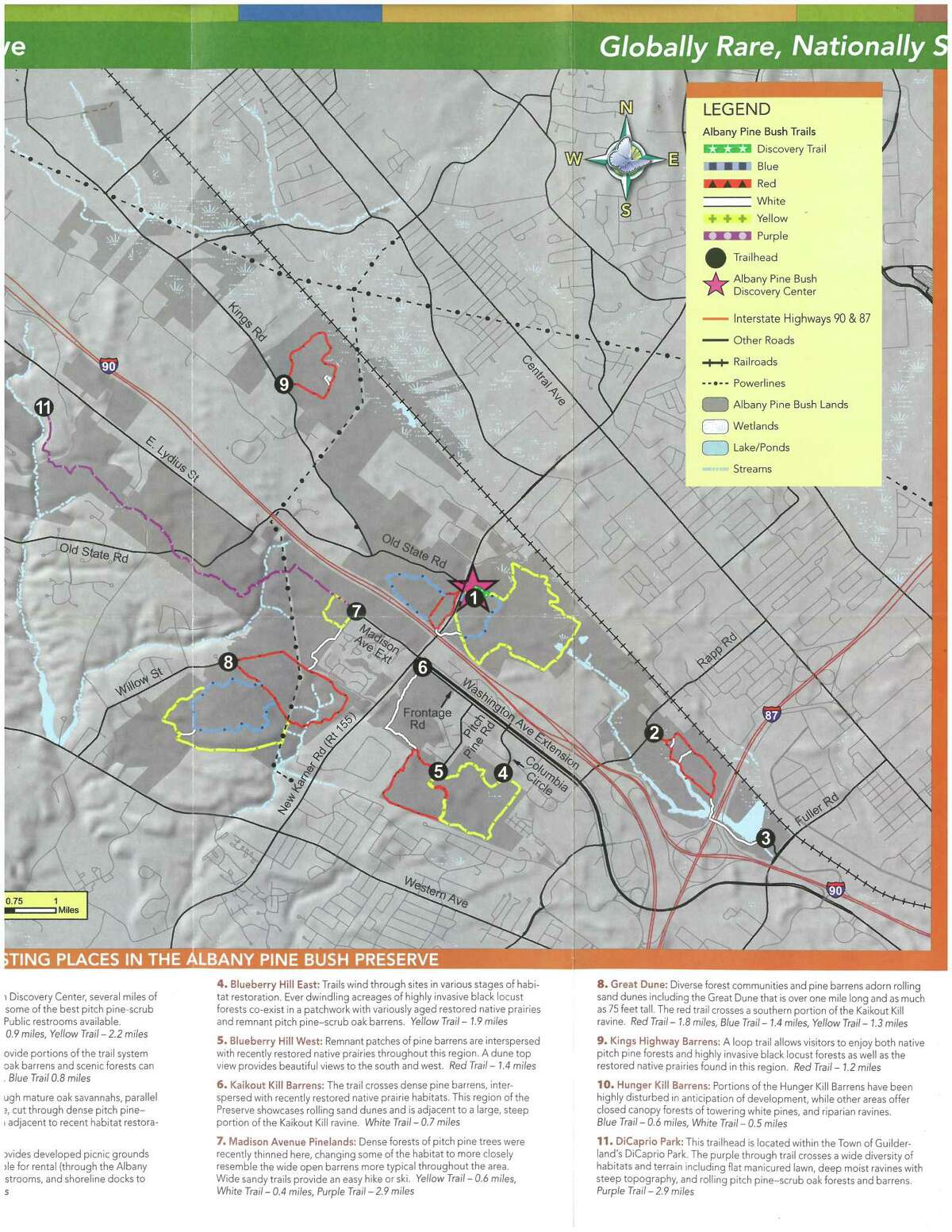 Group thins Pine Bush to boost native species