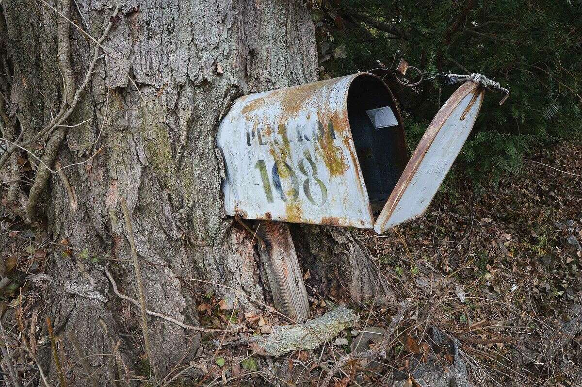 Hour Photo/Alex von Kleydorff This mailbox has seen some service for more than a few years in Norwalk, as the tree grows around the box and slowly envelops it from behind, they have become one.