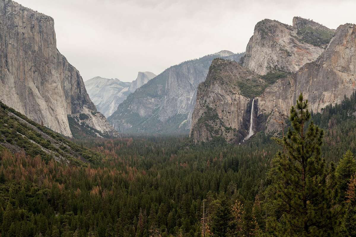 America S National Parks Celebrated With Stunning Photos Rare Artifacts