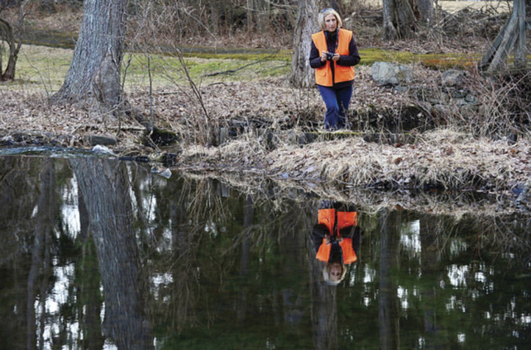 A walk in the woods with Norwalk Land Trust