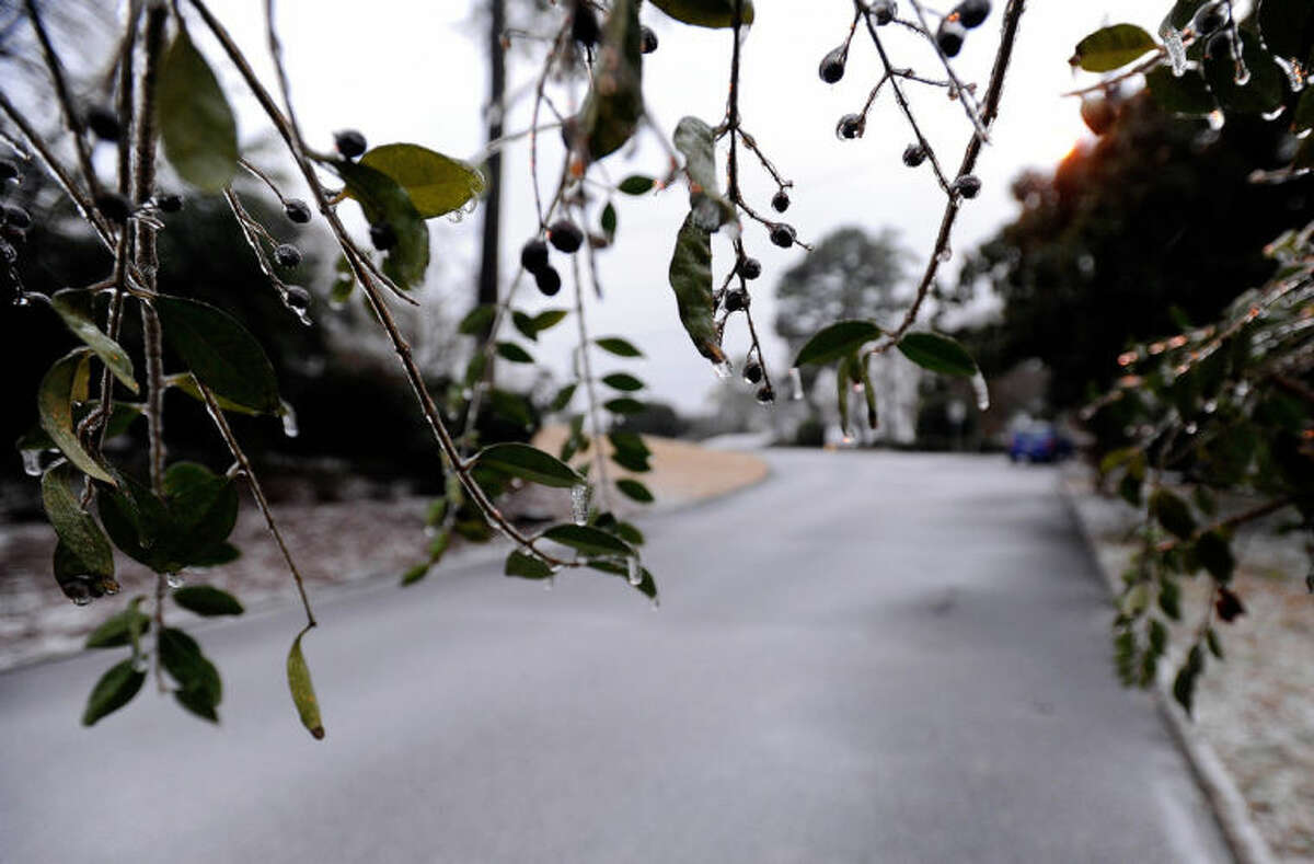 Ice hangs from foliage on a residential street on Wednesday, Feb. 12, 2014, in Atlanta. Across the South, winter-weary residents woke up Wednesday to a region encased in ice, snow and freezing rain, with forecasters warning that the worst of the potentially "catastrophic" storm is yet to come. From Texas to the Carolinas and the South's business hub in Atlanta, roads were slick with ice, tens of thousands were without power, and a wintry mix fell in many areas. (AP Photo/David Tulis)