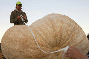 Plumpest pumpkin: 2,058-pound gourd sets record