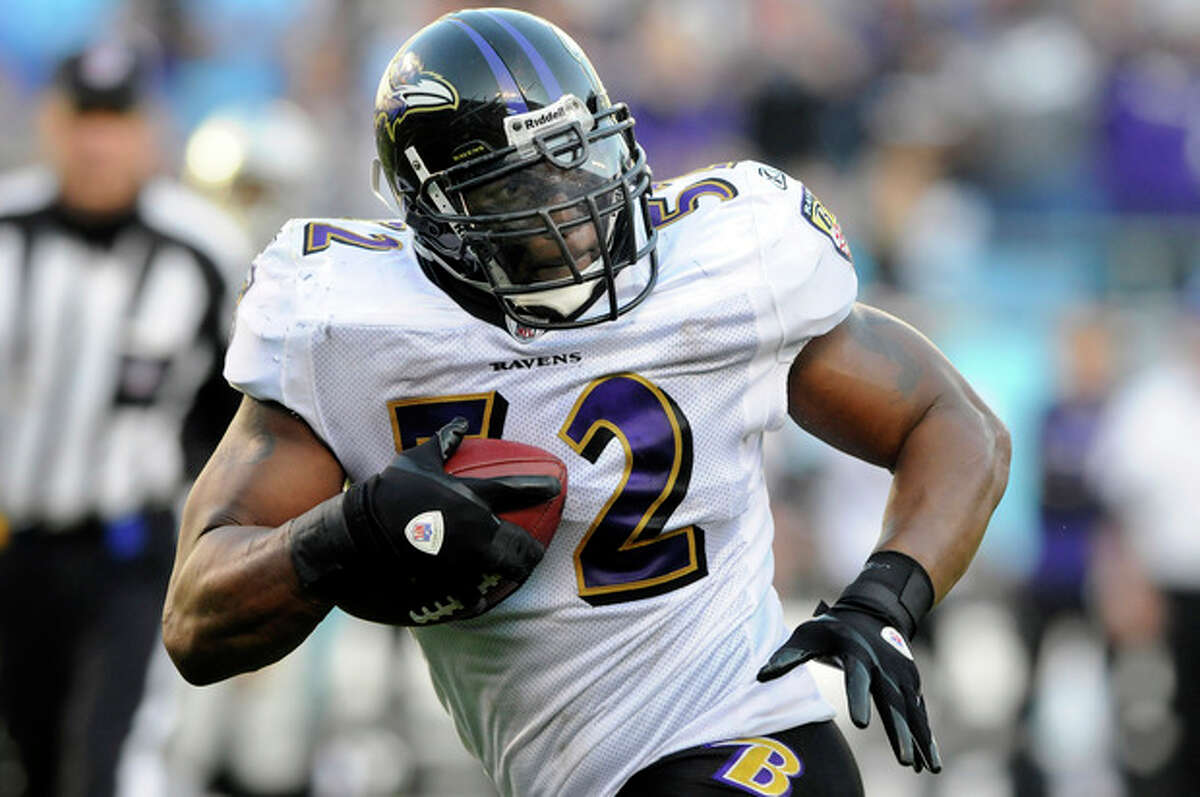 baltimore ravens 52