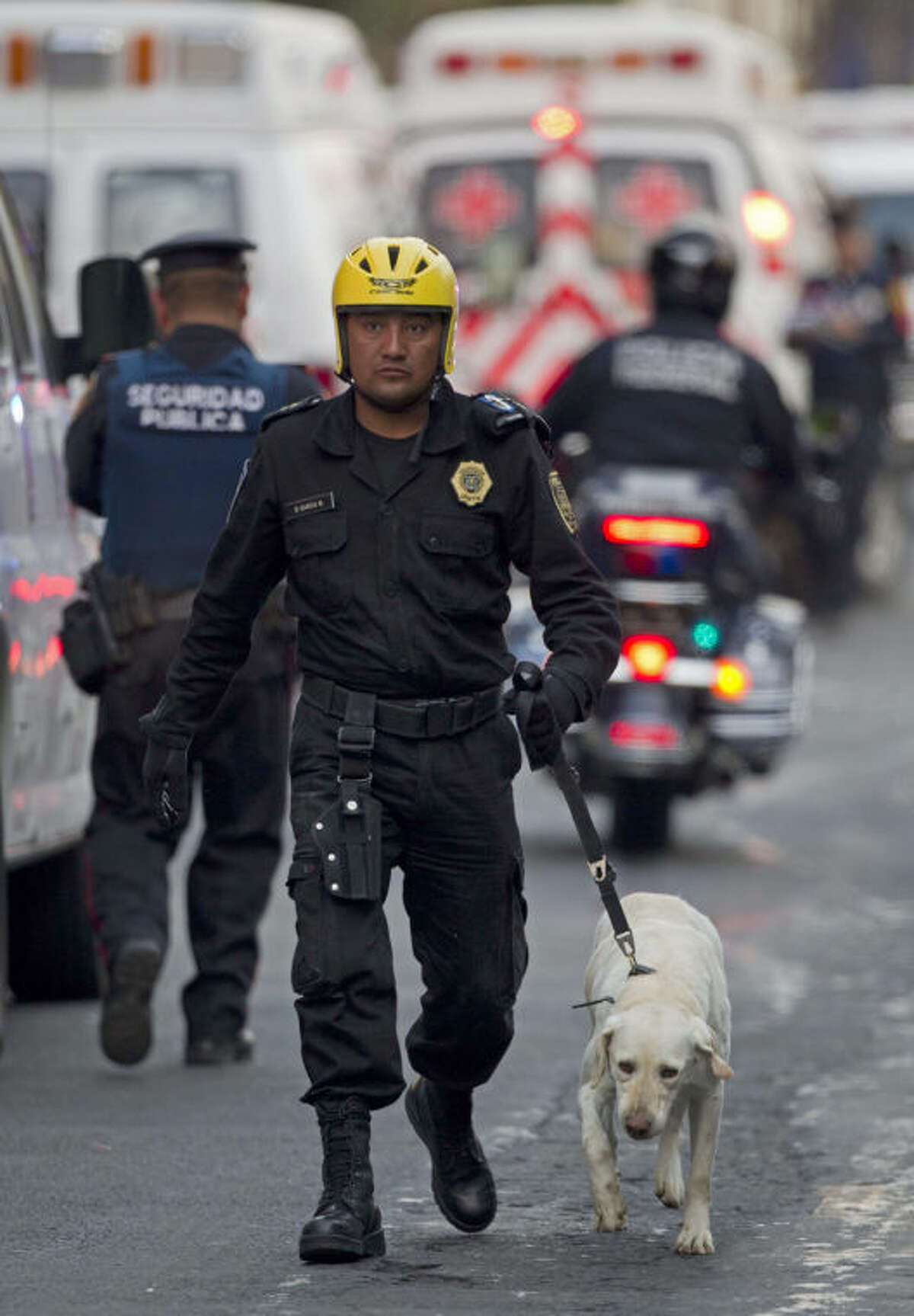 An emergency responder walks with a search dog as emergency workers and firefighters search for trapped survivors at the site on an explosion in a building at Mexico's state-owned oil company PEMEX complex, in Mexico City, Thursday Jan. 31, 2013. The explosion killed more than 10 people and injured some 80 as it heavily damaged three floors of the building. According to civil protection and local media some people remained trapped in the debris from the explosion, which occurred in the basement of an administrative building next to the iconic, 52-story tower of Petroleos Mexicanos, or PEMEX.(AP Photo/Eduardo Verdugo)