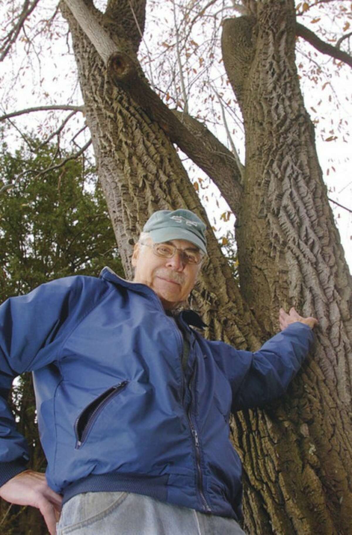 Hour photo / Erik Trautmann Dan Landau, president of the Norwalk Tree Alliance, stands next to the largest Sour Gum tree in Connecticut, which the alliance helped put on its state registry of trees.