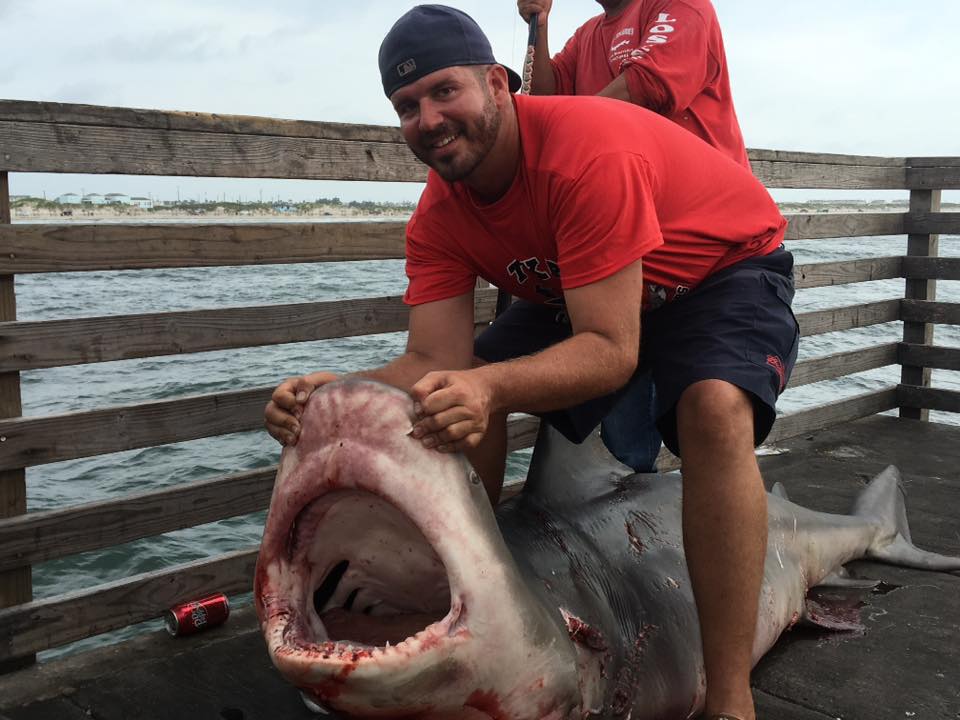 Man reels in 12 ft shark on beach Padre Island National Seashore