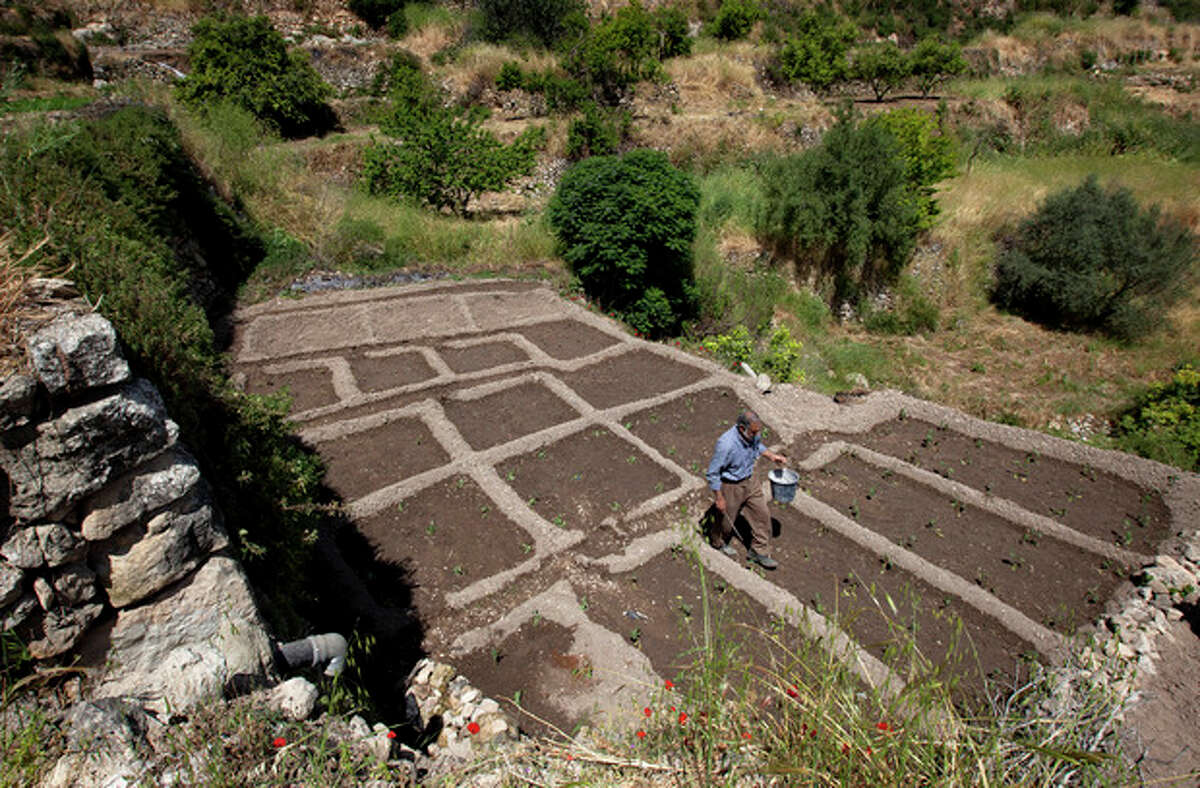 In this photo taken Sunday, May 6, 2012 Palestinian farmer Elayan Shami, 62, plants eggplants in a maze to direct the water downhill from one terrace to another in his field in the West Bank village of Battir. Residents of Battir, one of the last West Bank farming villages that still uses irrigation systems from Roman times say the village's ancient way of life is in danger as Israel prepares to lay down its West Bank separation barrier. (AP Photo/Sebastian Scheiner)
