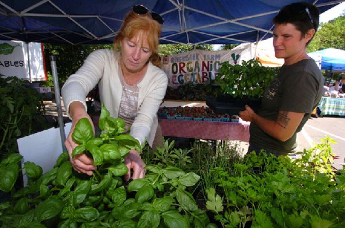 Westport Farmers Market opens