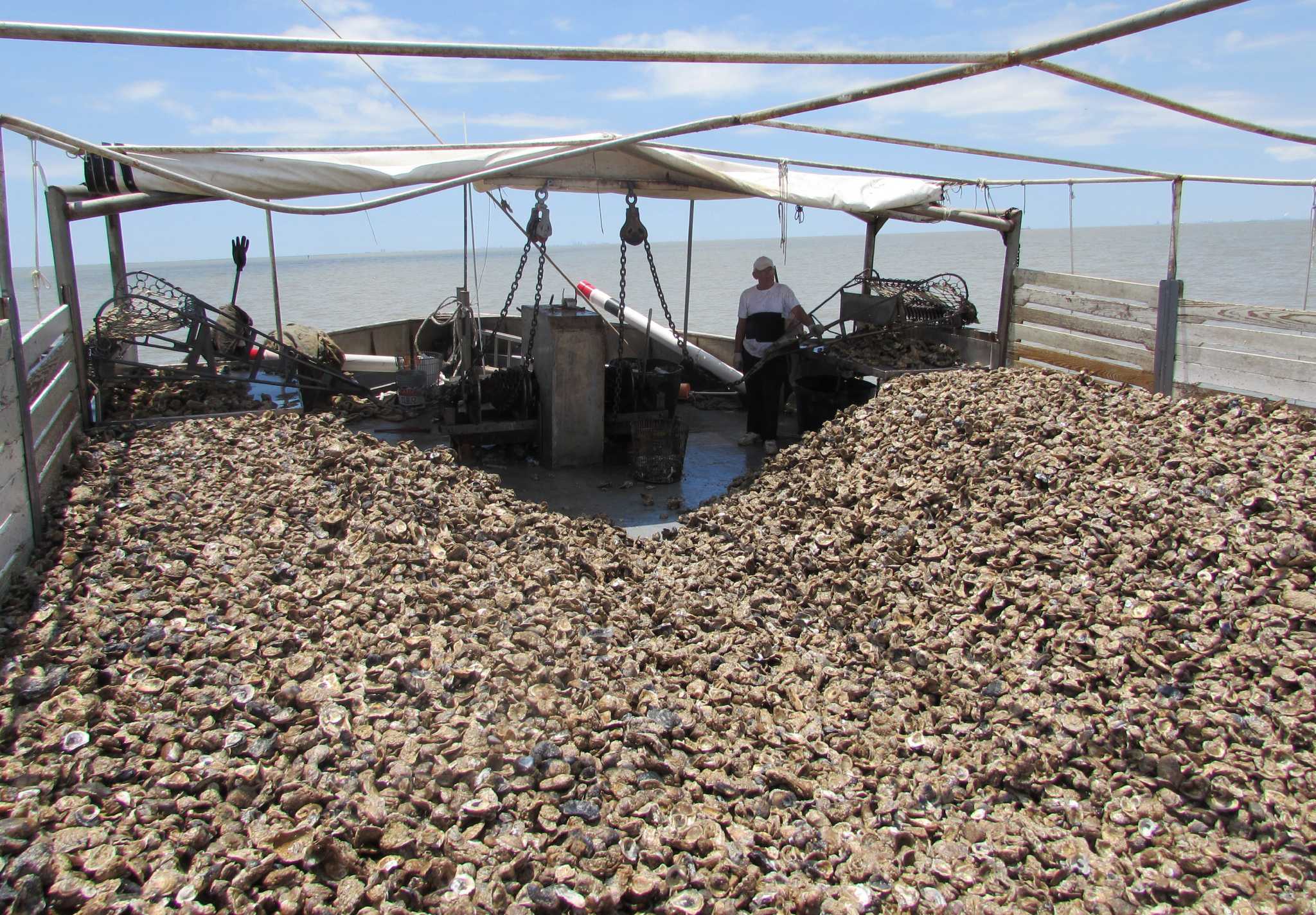 Bitter feud rages over control of Galveston Bay's oysters